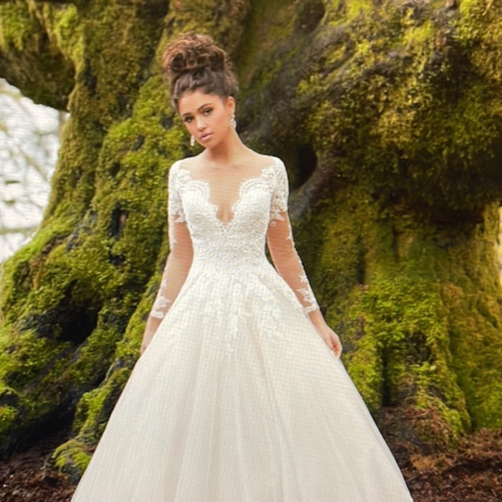 Wedding Dress - Picture 4 of 5